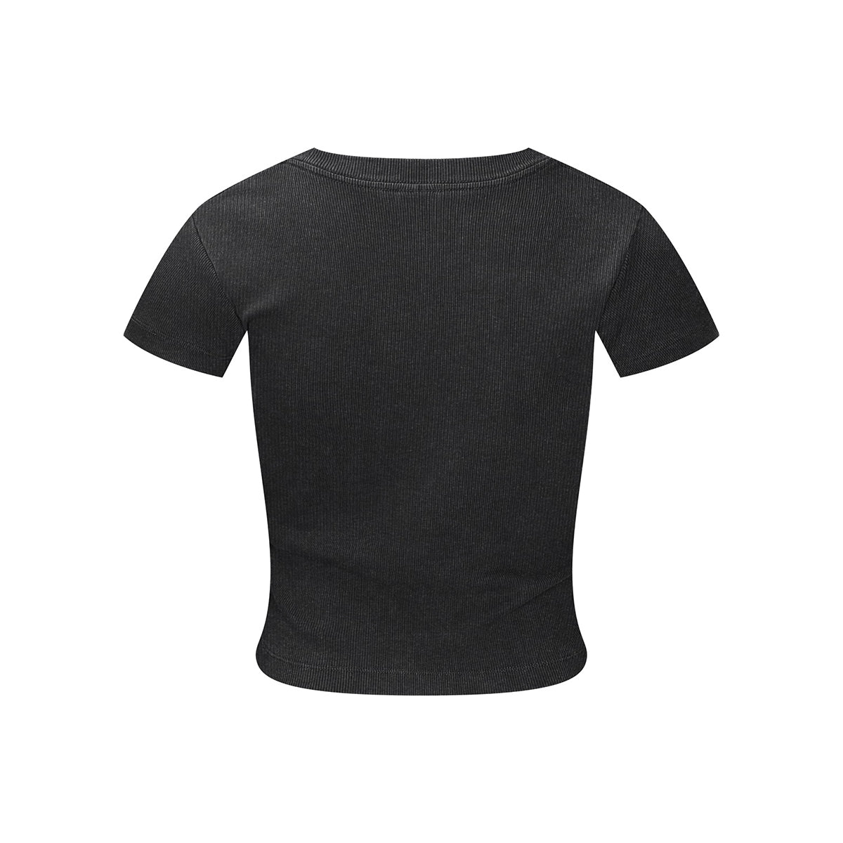 Washed Crew Neck Ribbed Crop Tee 8oz