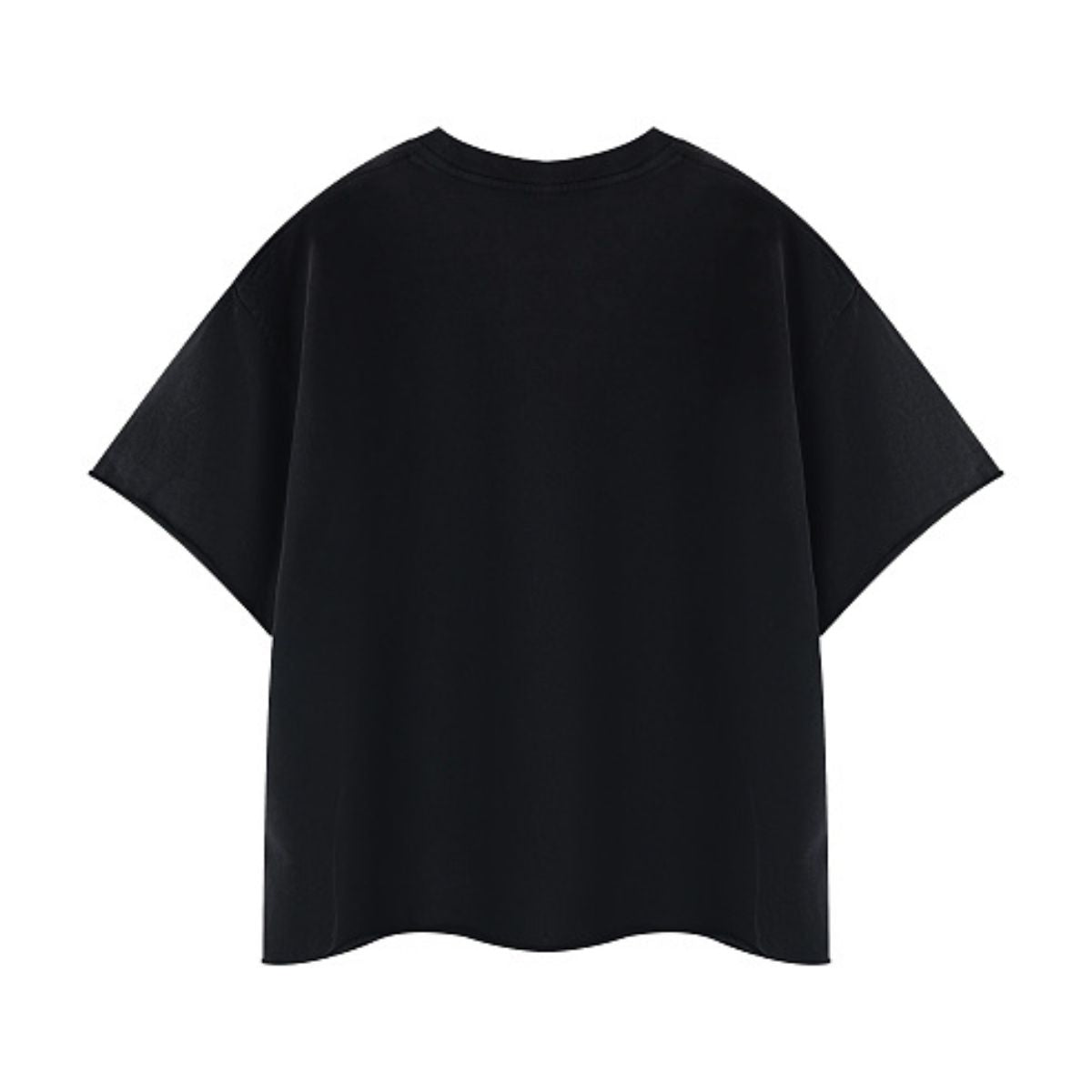 Snowflake Washed Raw Edge Boxy Cropped Tee