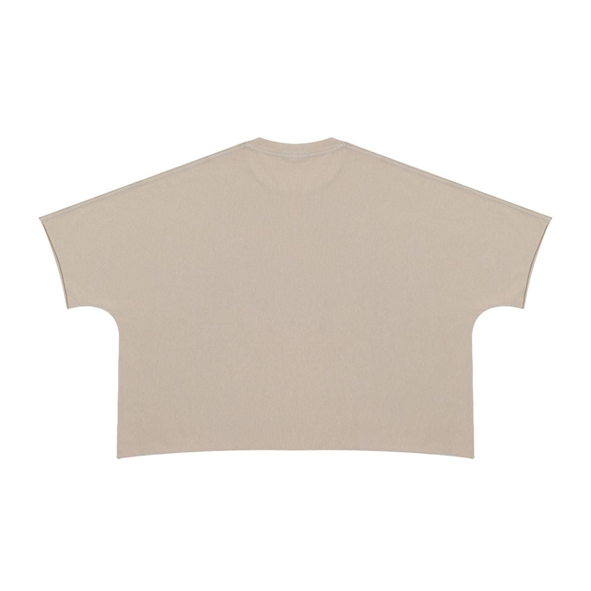 Washed Boxy Cropped Raglan Tee