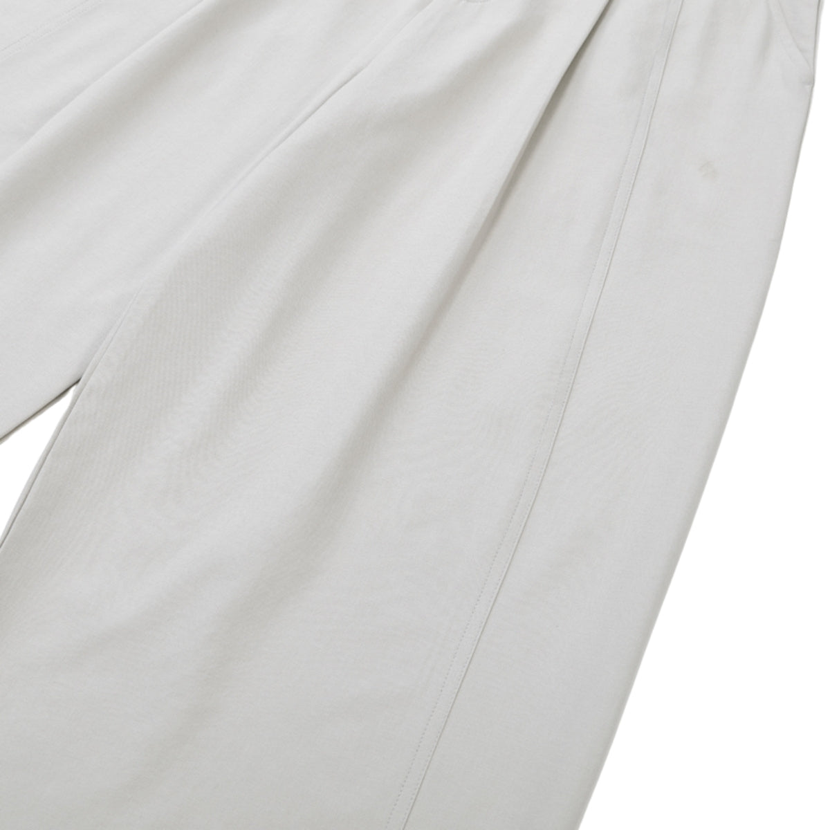 Minimalist Wide-Leg Pleated Pants