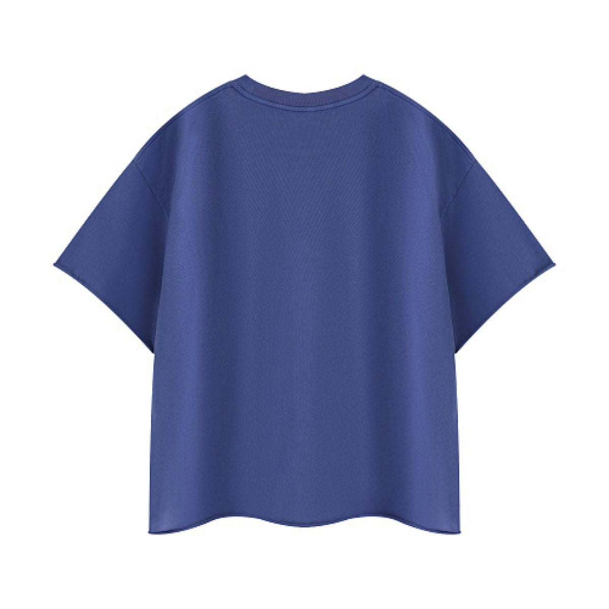 Snowflake Washed Raw Edge Boxy Cropped Tee