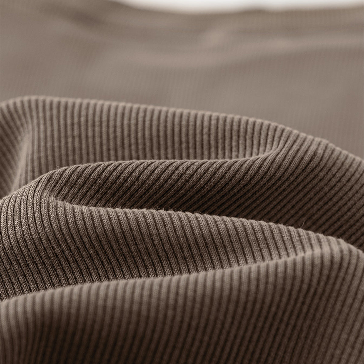 Washed Crew Neck Ribbed Crop Tee 8oz