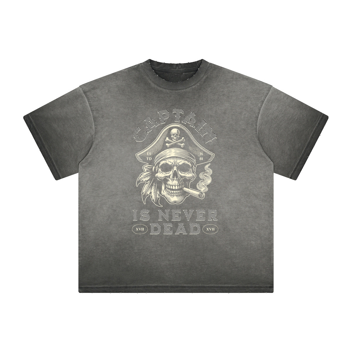 Thick Faded Guardian Graphic T Shirt