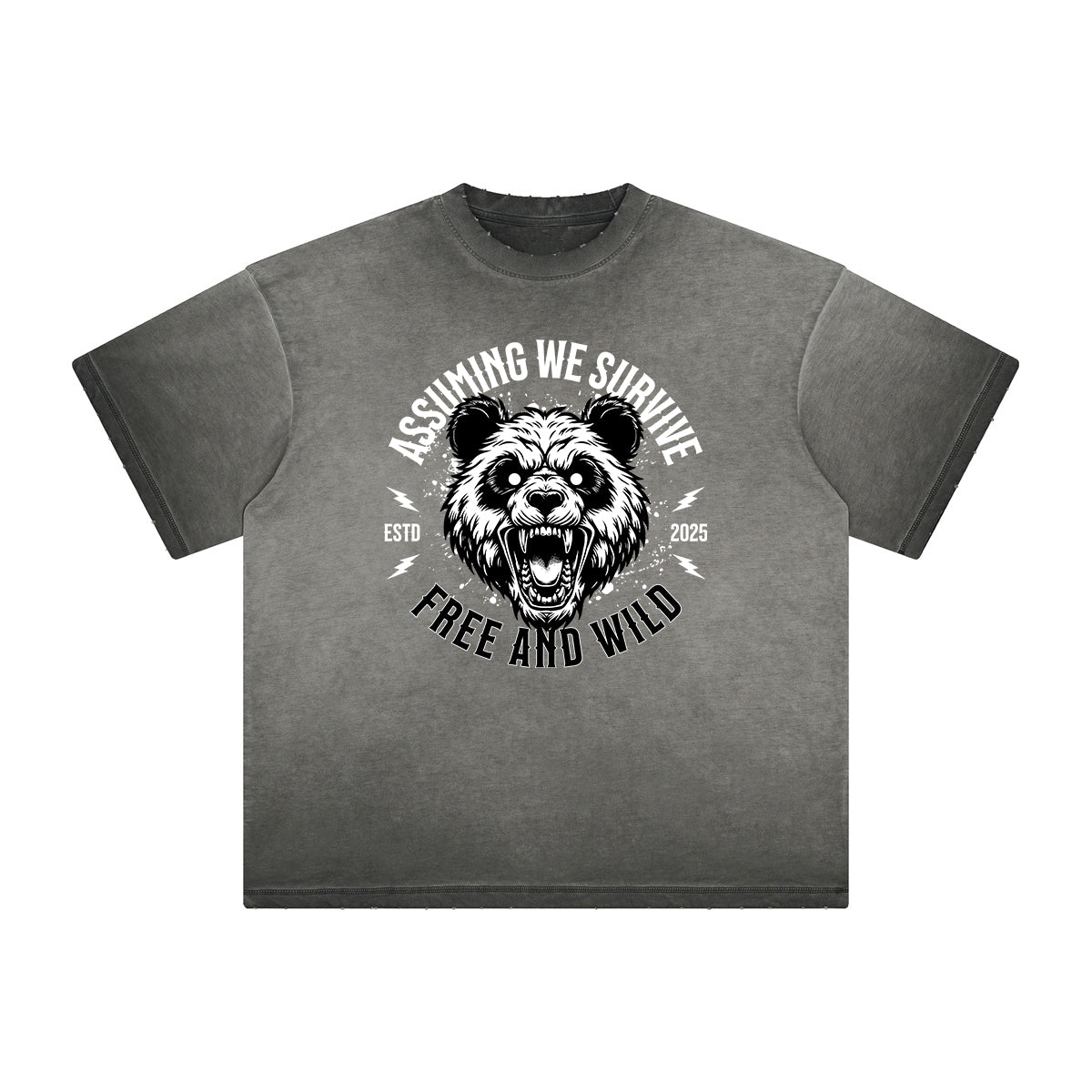 Thick Faded Guardian Graphic T Shirt