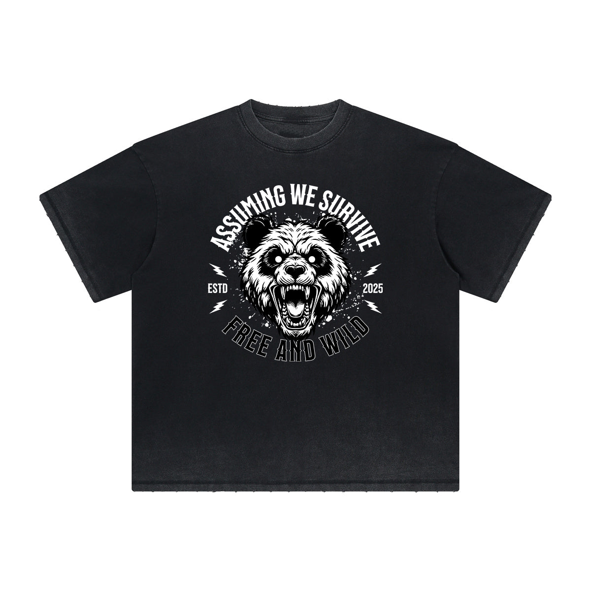 Vintage Frayed Guardian Pattern Tee