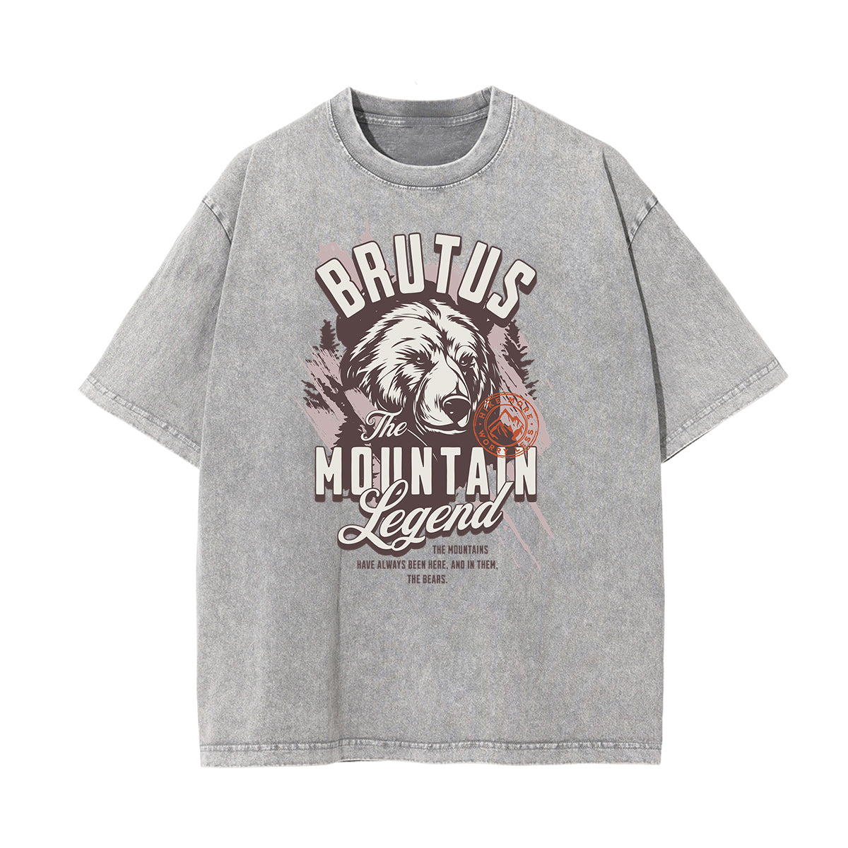 Washed Guardian Graphic Cotton Tee