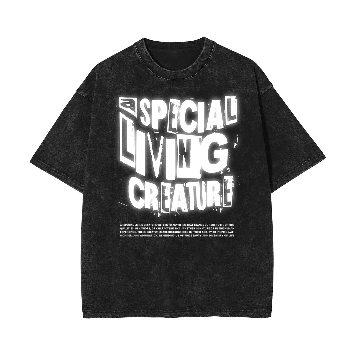 Stone-Washed Bold Typography Crewneck Tee