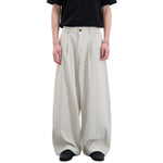 Minimalist Wide-Leg Pleated Pants