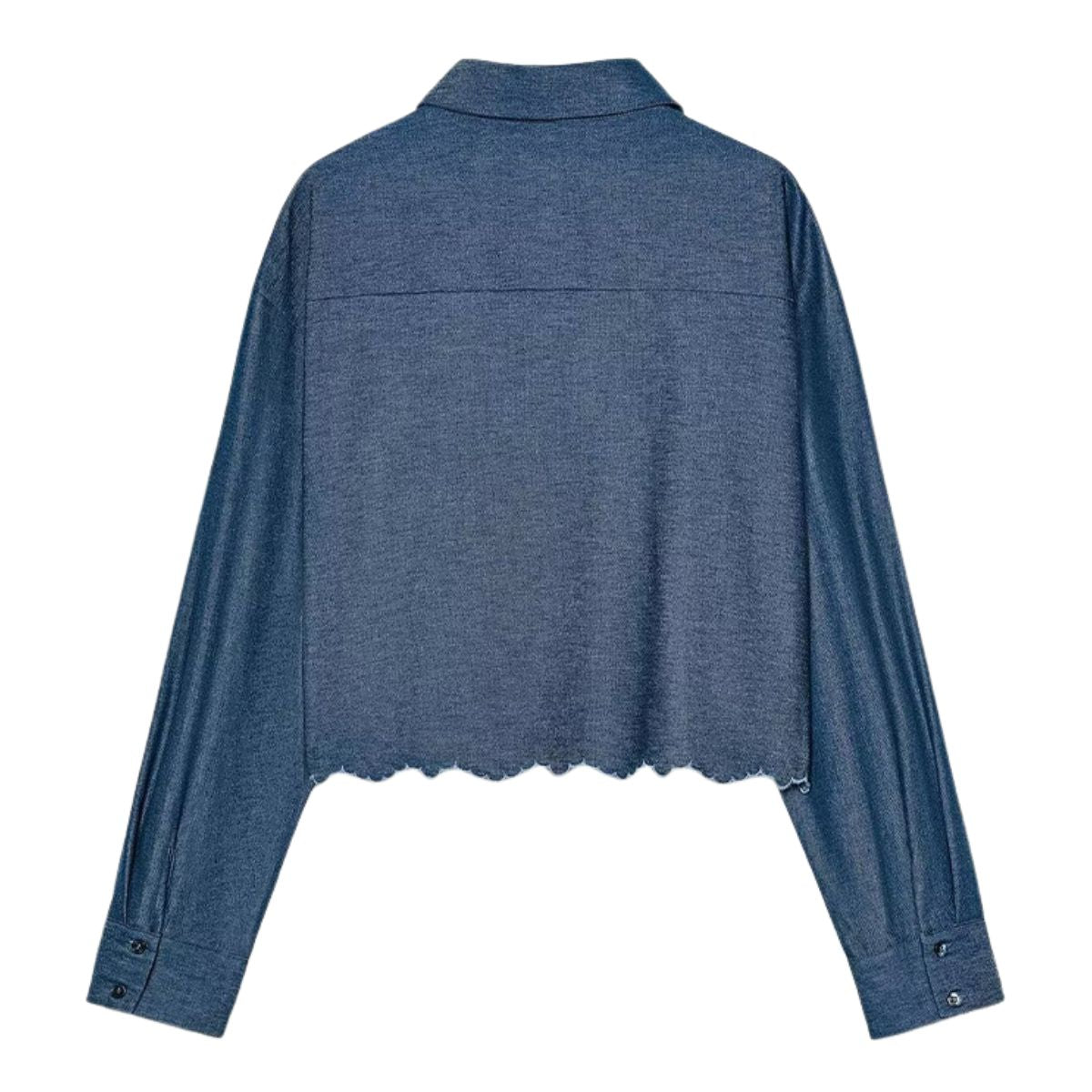 Women's French Fashion Hollow Embroidery Cropped Shirt