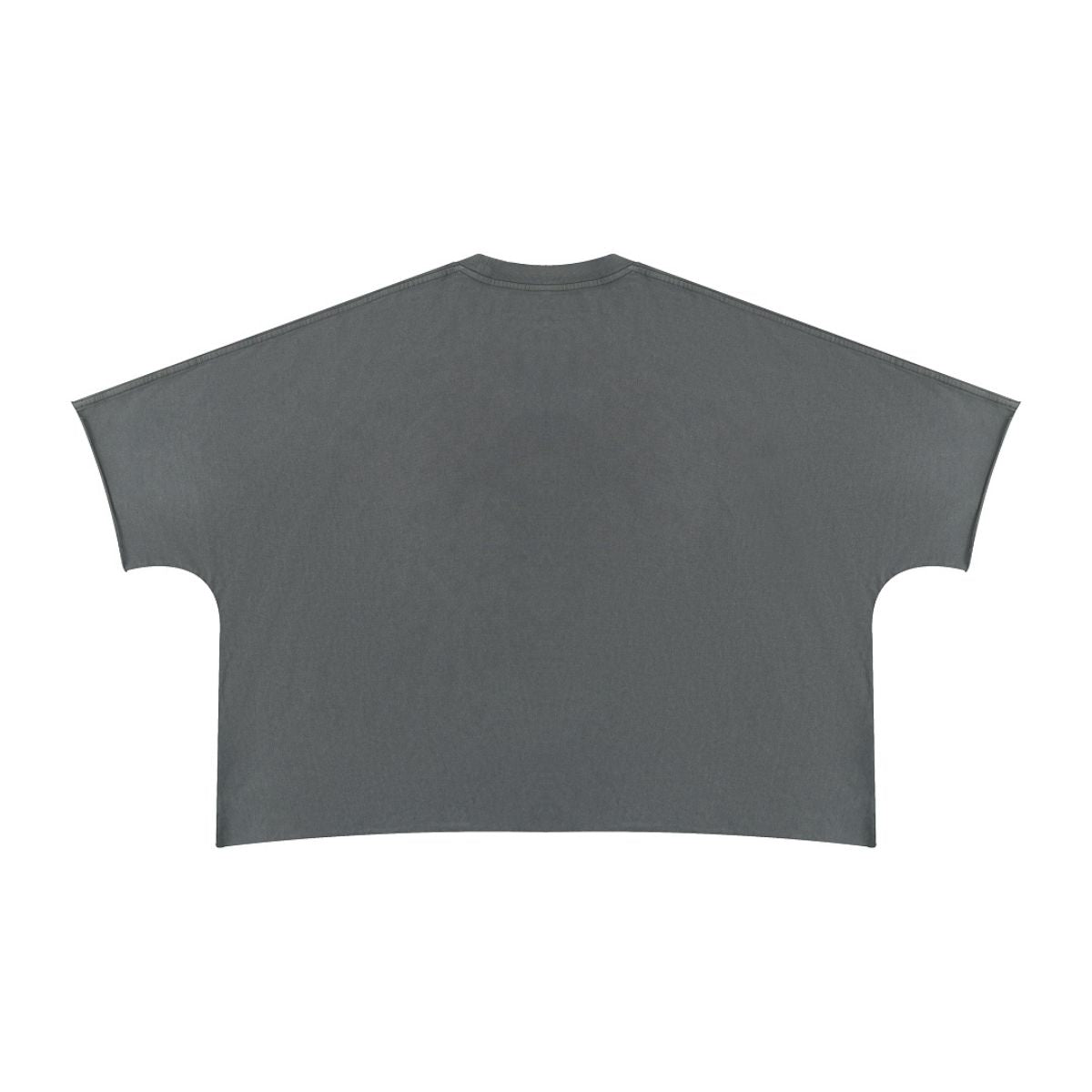 Washed Boxy Cropped Raglan Tee