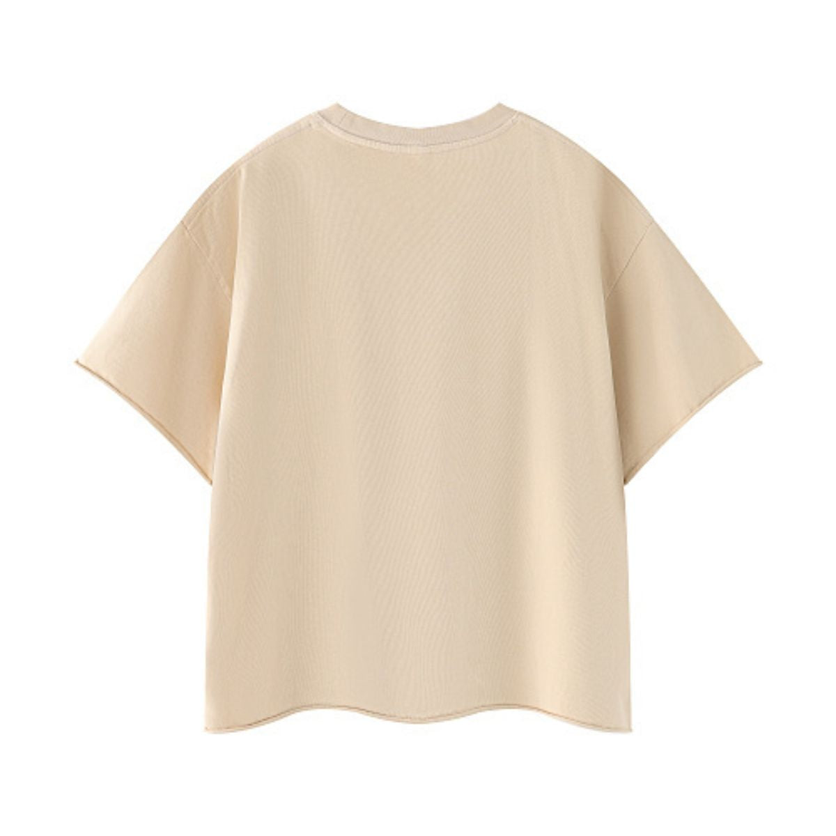 Snowflake Washed Raw Edge Boxy Cropped Tee
