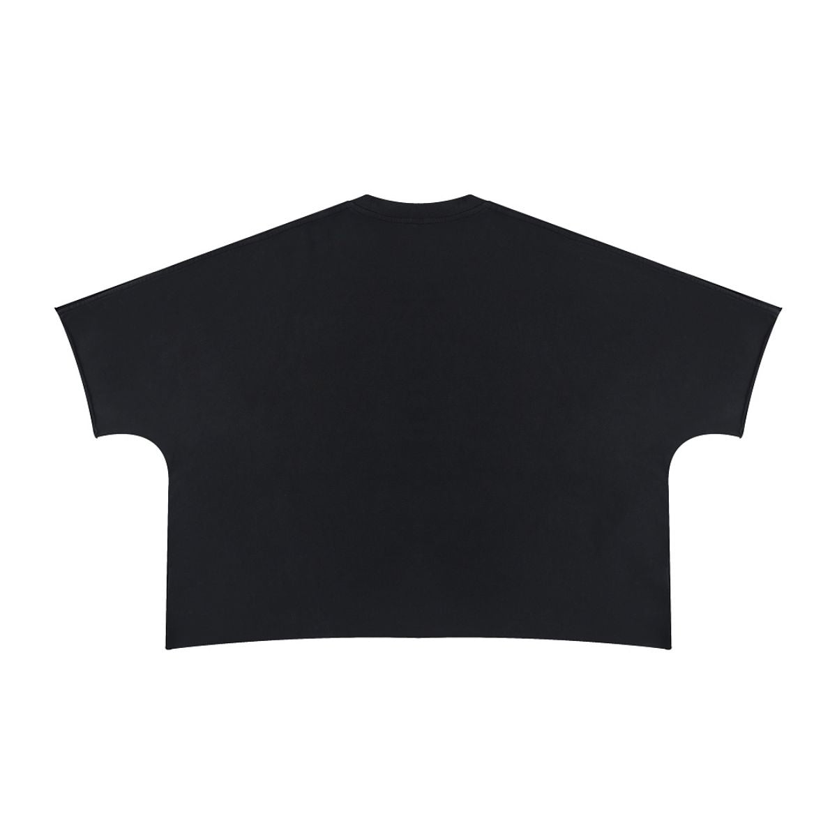 Washed Boxy Cropped Raglan Tee