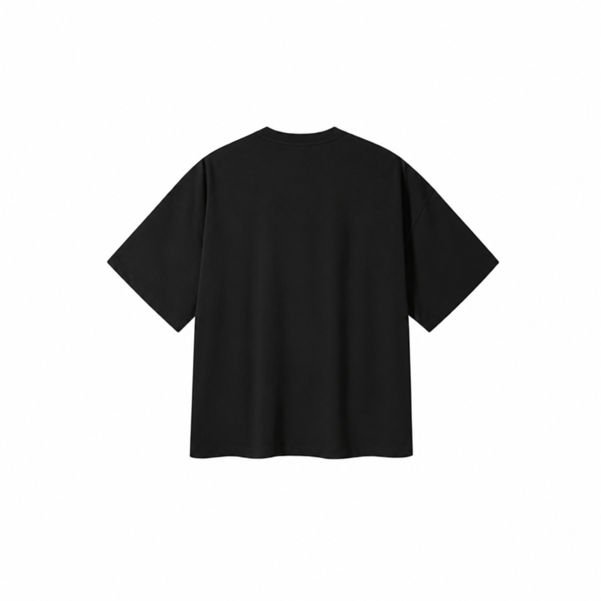 Retro Washed Boxy Fit Sorona T-Shirt 6.5 oz