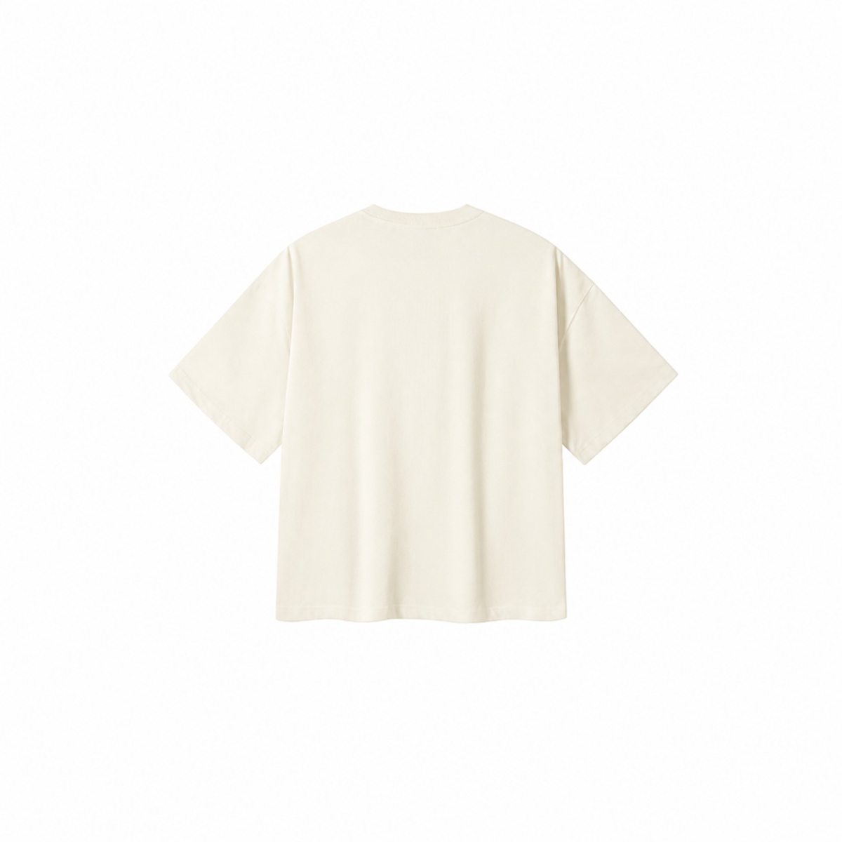 Retro Washed Boxy Fit Sorona T-Shirt 6.5 oz