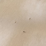 Acid Washed Distressed Reverse Tee 8oz