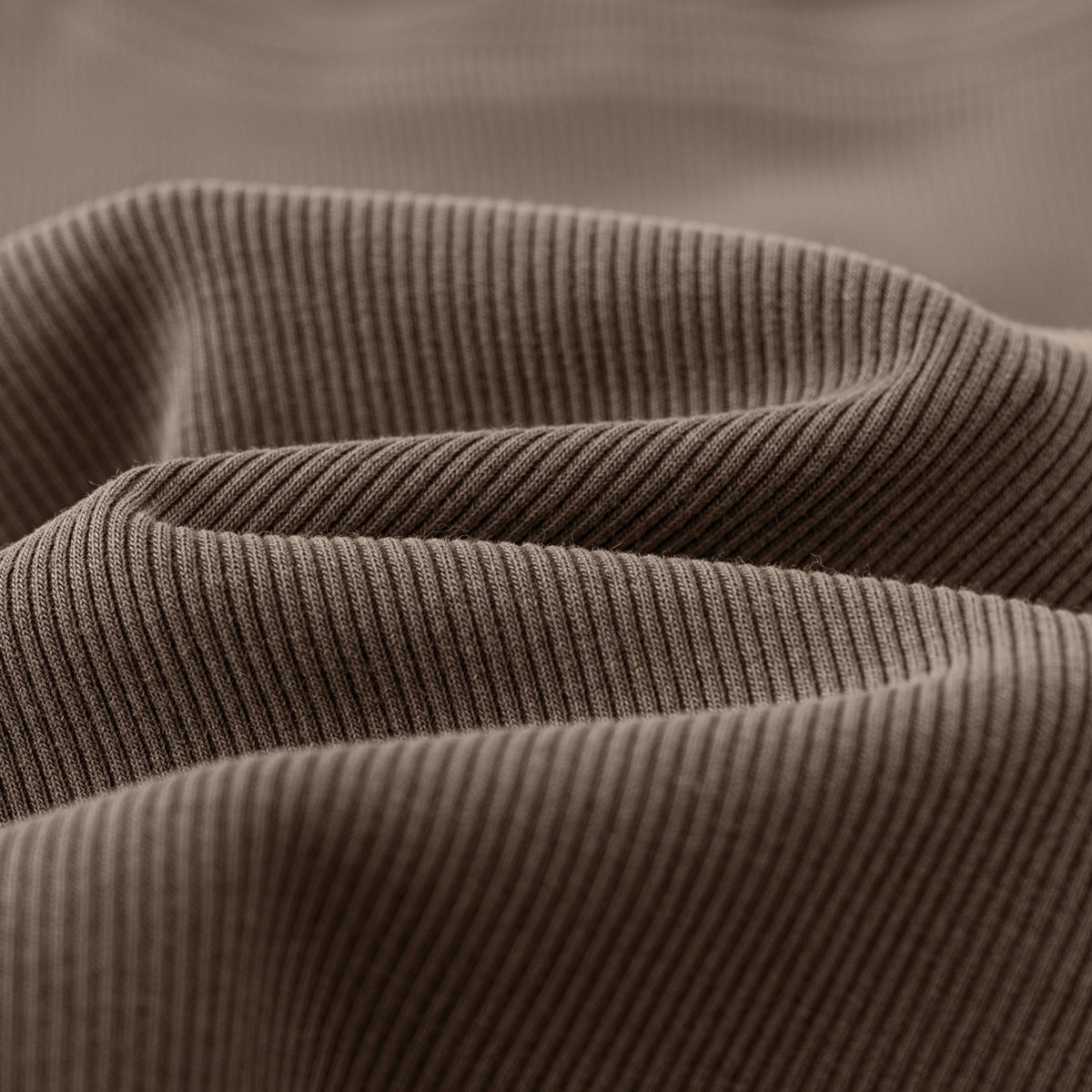 Crew Neck Ribbed Crop T Shirt 8oz