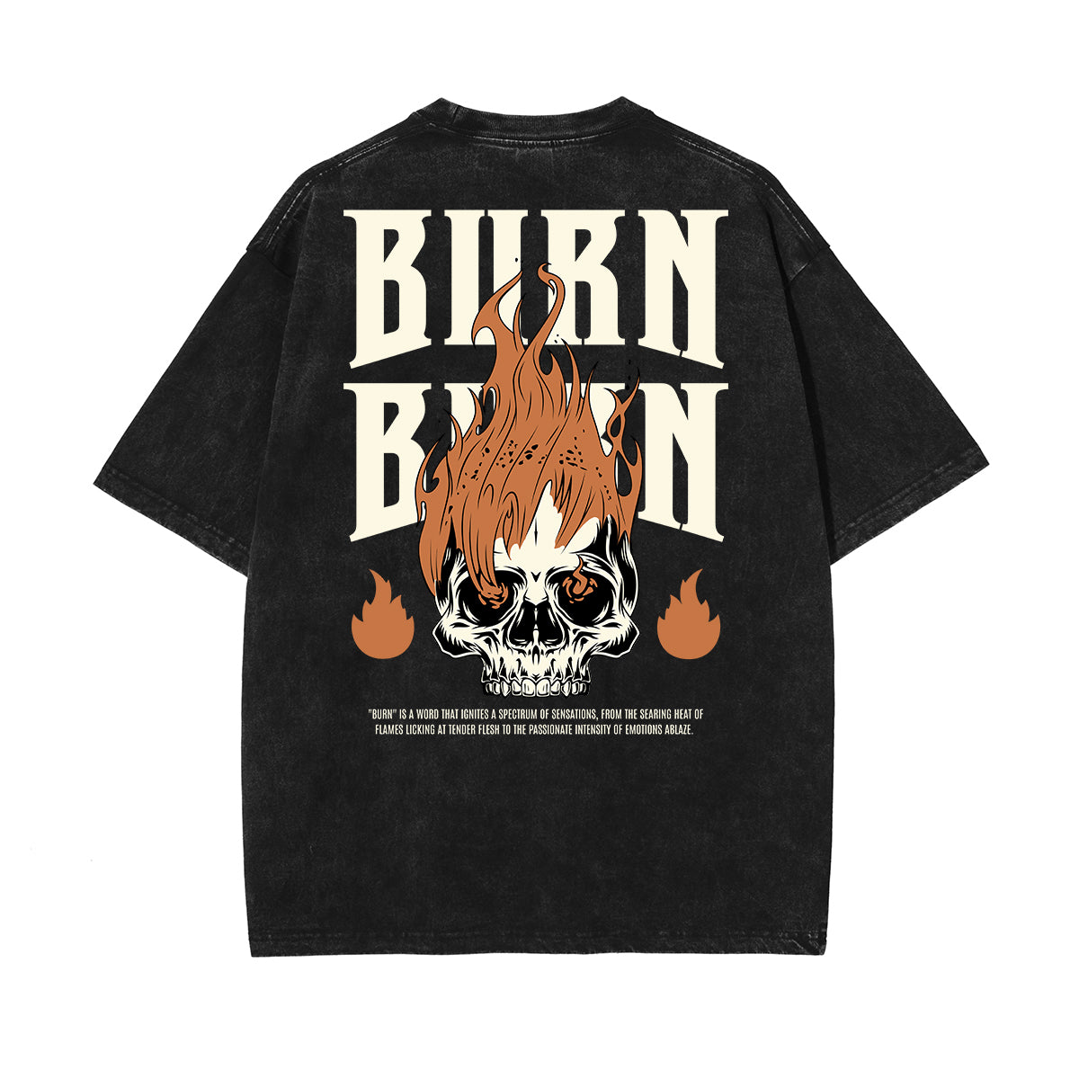 Stone Wash Guardian Graphic T Shirt