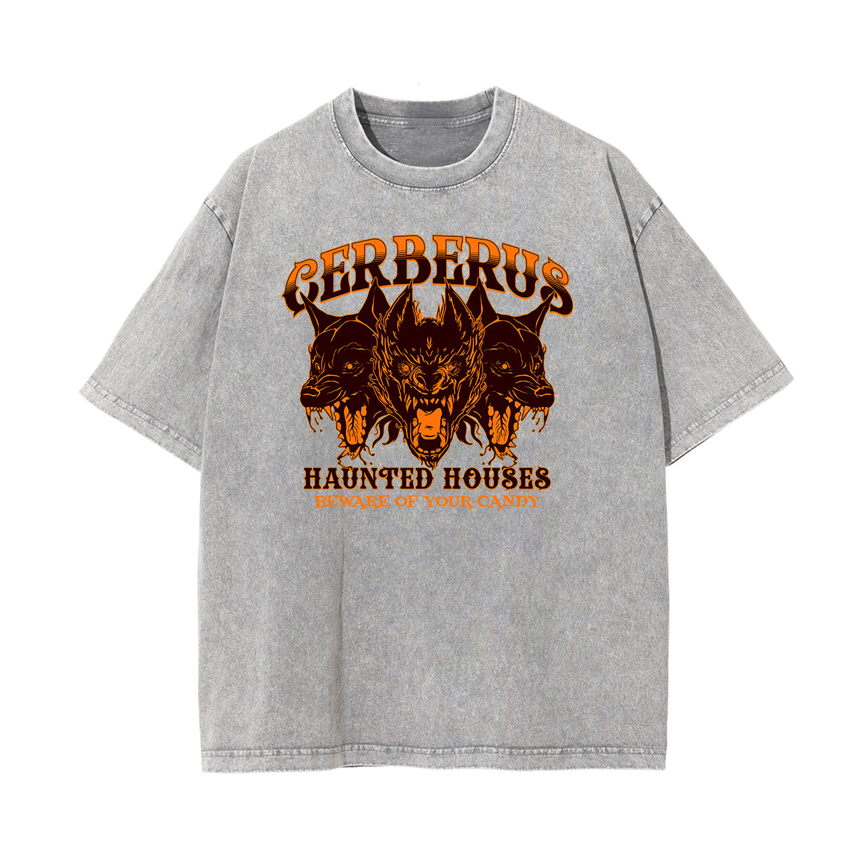 Washed Guardian Graphic Cotton Tee