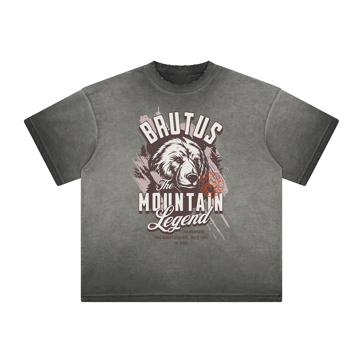 Thick Faded Guardian Graphic T Shirt