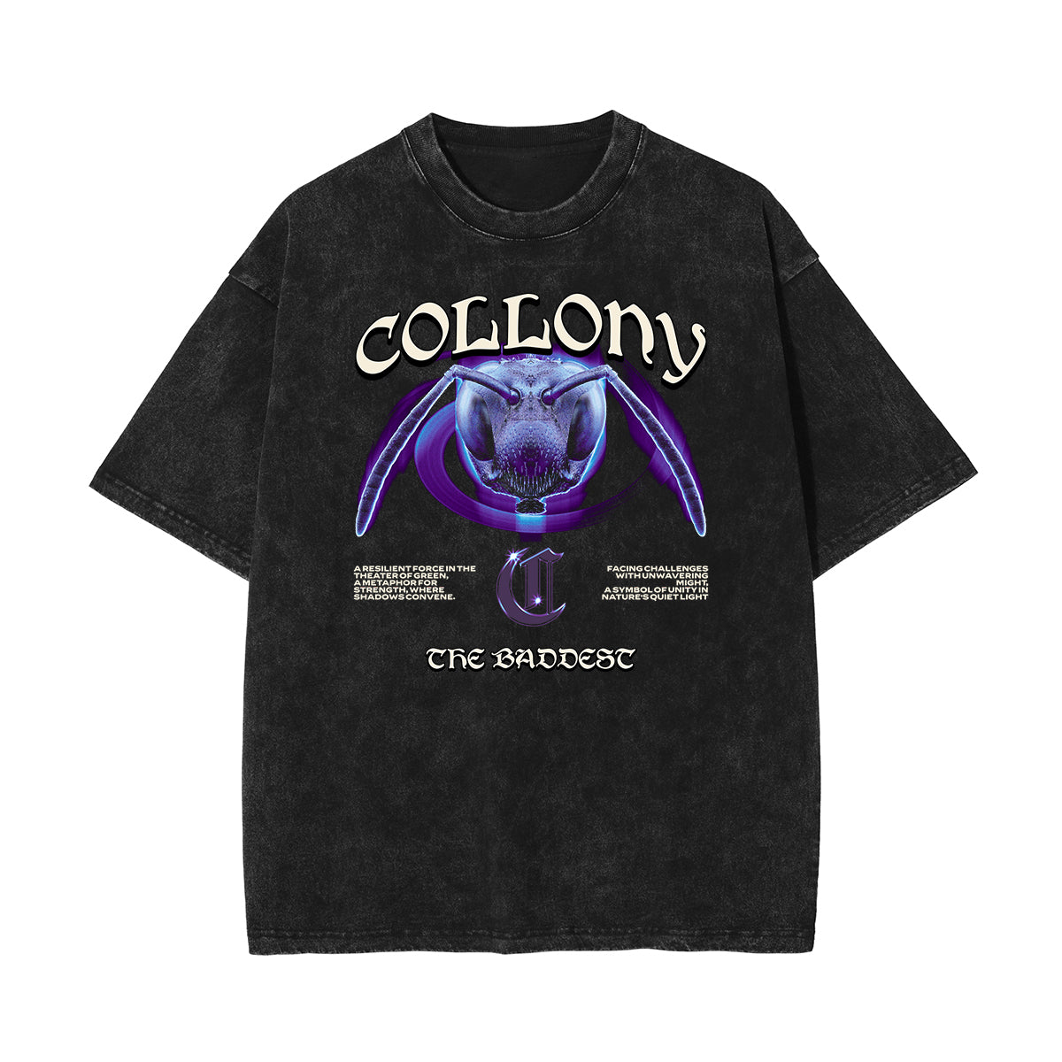 Stone Wash Guardian Graphic T Shirt