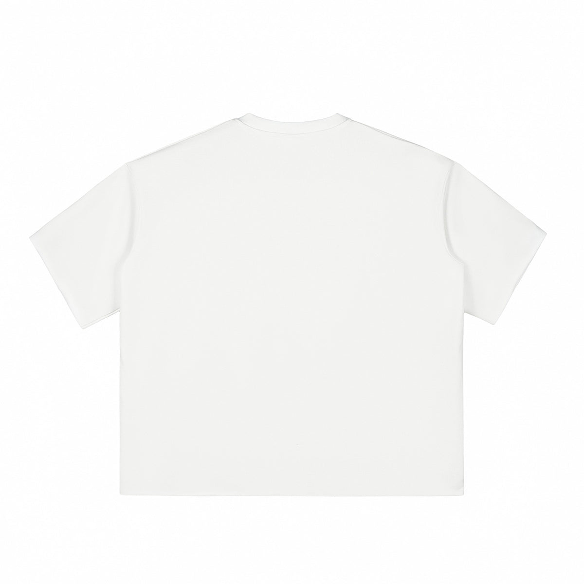 Boxy Cropped Raw Edge T-Shirt
